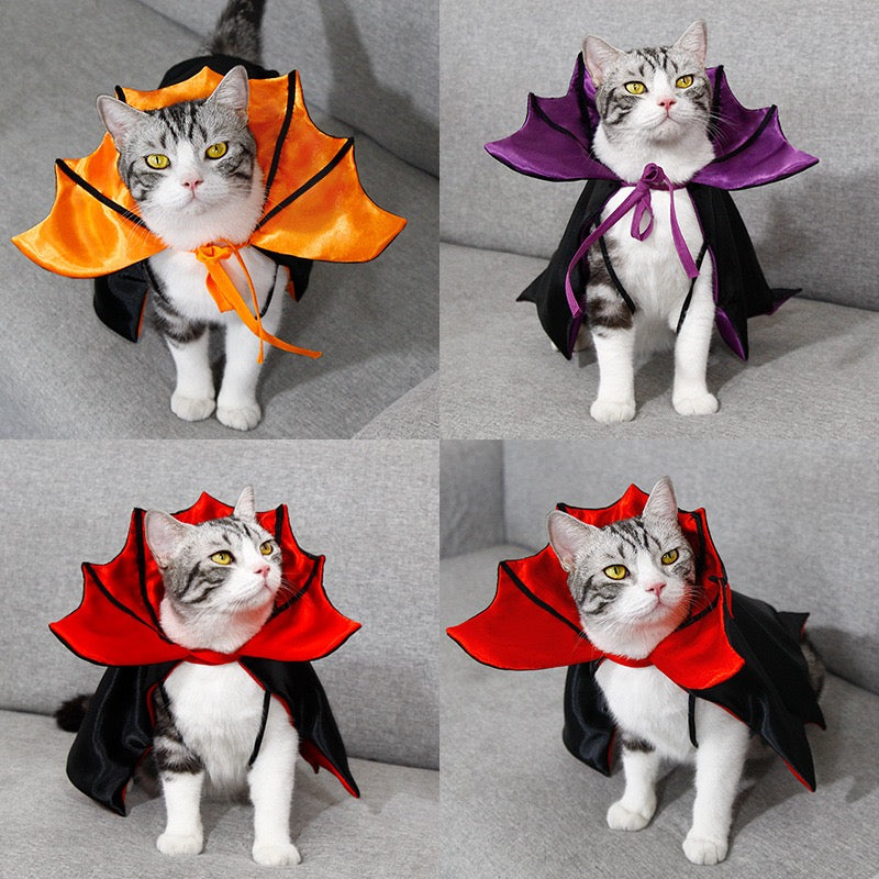 Cats modeling orange, purple and red Halloween bat capes