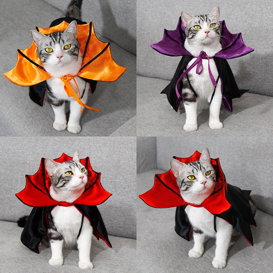 Cats modeling orange, purple and red Halloween bat capes