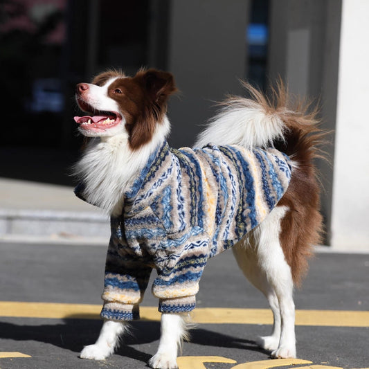 Dog standing in a blue patterned fleece jacket, side view