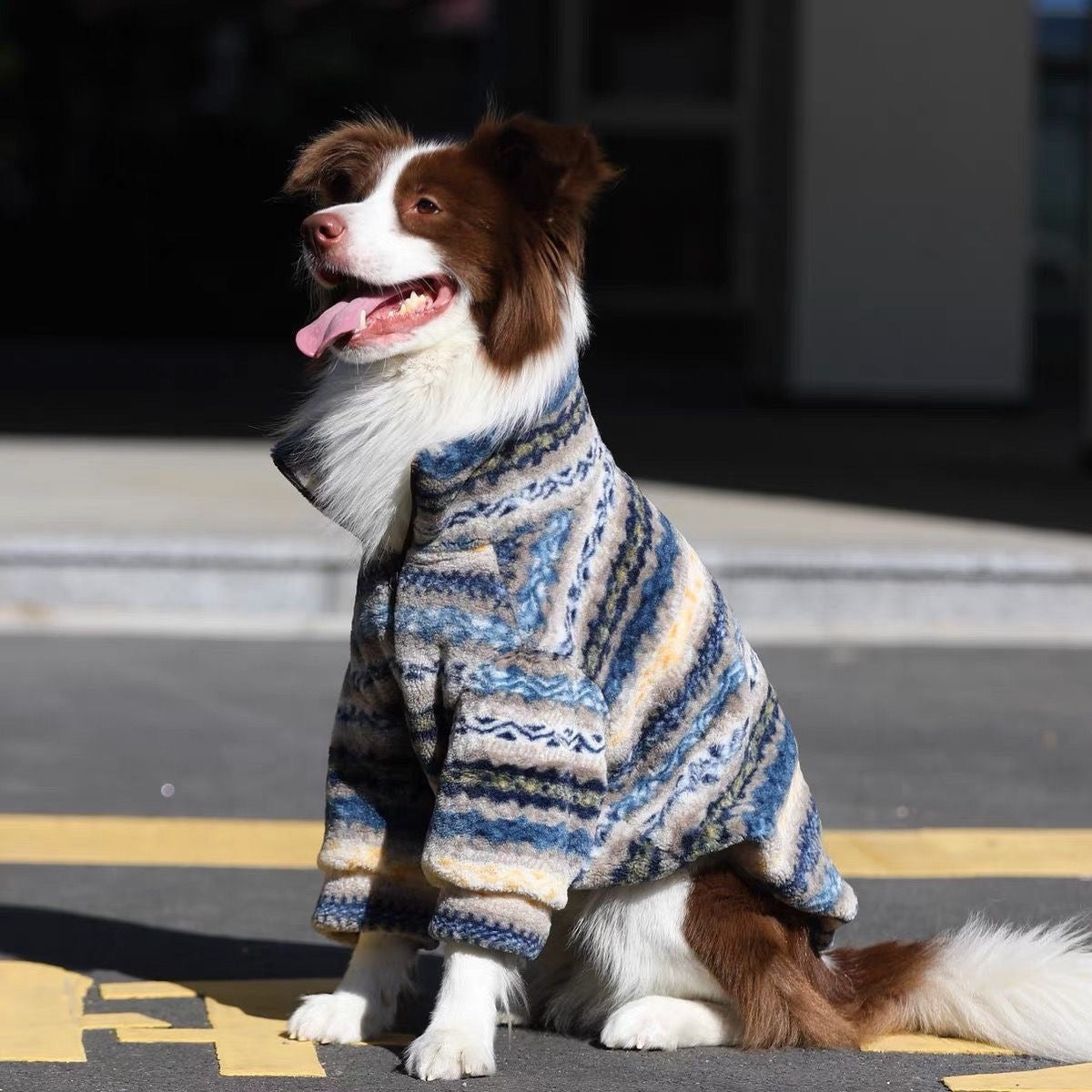 Seated dog wearing a blue patterned high-collar fleece jacket