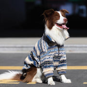 Front view of a dog wearing a blue patterned fleece jacket