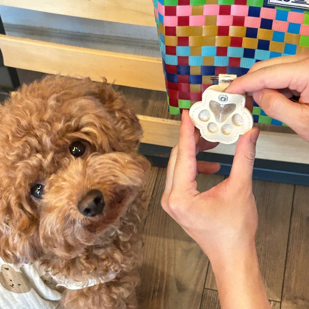 White paw-shaped pet fur keepsake keychain held beside a curly-haired dog