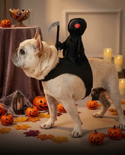 Cane che indossa un costume nero da cavaliere Mietitore con una falce decorativa
