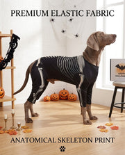 Standing dog in a black four-leg skeleton-print costume