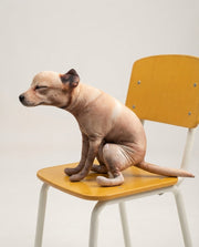 Squatting-dog plush ornament displayed on a yellow chair
