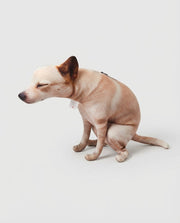 Side view of a squatting-dog plush ornament on a plain background