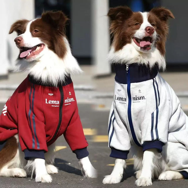 Fleece-Lined Winter Hoodie for Medium & Large Dogs