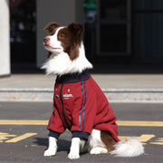 中大型犬秋冬加絨保暖寵物連帽衛衣外套