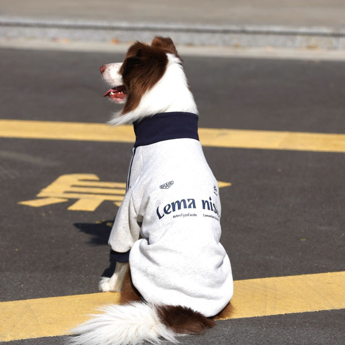 中大型犬秋冬加絨保暖寵物連帽衛衣外套