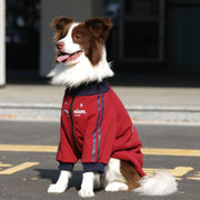 中大型犬秋冬加絨保暖寵物連帽衛衣外套