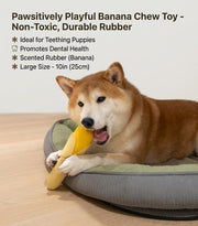 Dog holding a yellow banana-shaped toy on a pet bed
