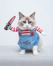 Gato vestido com um fato azul de boneca assassina