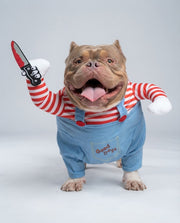 Cão grande vestido com um fato azul de boneca assassina