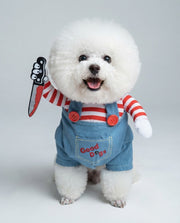 Cão pequeno vestido com um fato de Halloween de boneca assassina