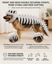 Front and rear securing straps on dinosaur skeleton dog costume