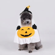 Petit chien gris portant un costume d'Halloween citrouille fantôme blanc