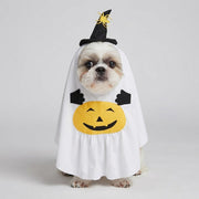 Petit chien blanc portant un costume d'Halloween citrouille fantôme avec un chapeau de sorcière